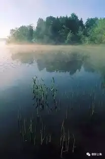 跟着韩寒浪起来乘风破浪里的亭林镇原来是在这些地方拍的超怀旧