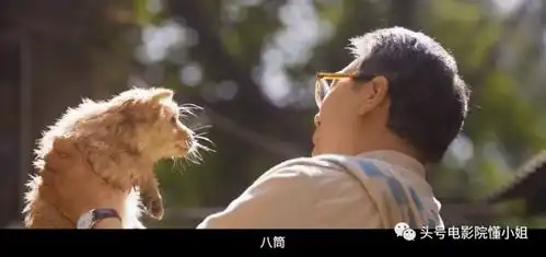 冯小刚陈冲主演,中国版忠犬八公定档第一主角是中华田园犬
