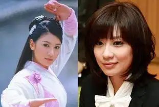 金庸女神渐变老黎姿美过赵雅芝
