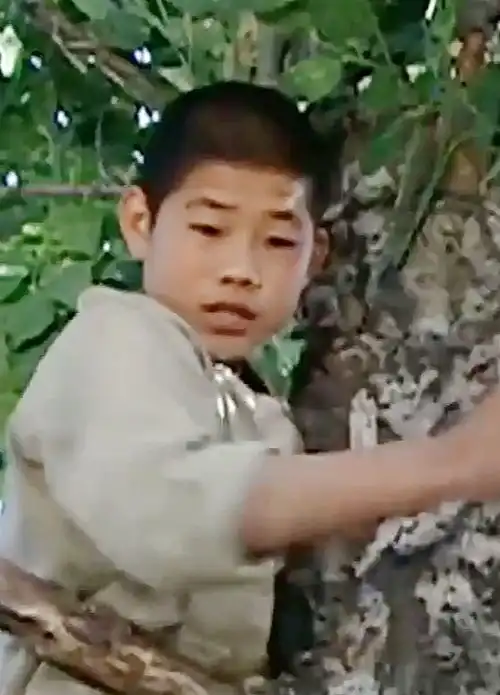 男孩和鬼子比赛爬树,结果爬到树顶直接走人小兵张嘎