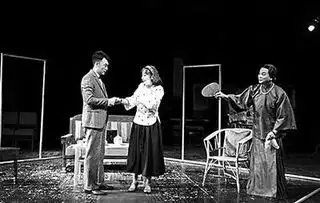 一只马蜂的趣味高雅的幽默的机智的喜剧