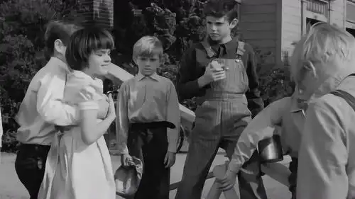 杀死一只知更鸟孩子们飞奔去上学,斯考特抓到沃尔特就打
