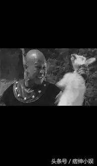 猎毒人留下了他最后荧幕形象计春华老师一路好走
