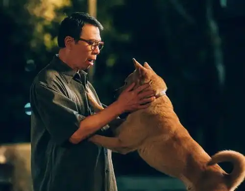 2023上映的6部高分电影,部部看点十足,你贡献了几张票房
