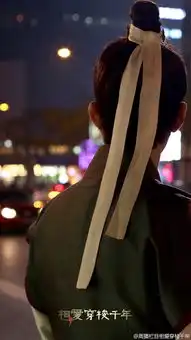 相爱穿梭千年剧照
