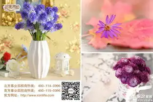 浪漫满屋家居怎么样