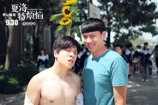 曝夏洛特烦恼抄袭导演沈腾做回应网友质疑
