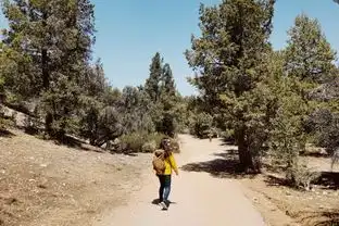 走上美国加州美洲狮鬃毛步道,一窥太平洋屋脊步道的面貌
