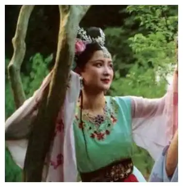 西游记选角花絮,邂逅何晴,错过刘晓庆,捧红李玲玉