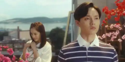 这部喜剧电影,虽然讲述的是爱情,但是却看到了悲剧夏洛特