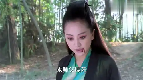 新神雕侠侣欧阳锋偷袭黄药师,梅超风替师傅挡一掌,欧阳锋逃跑