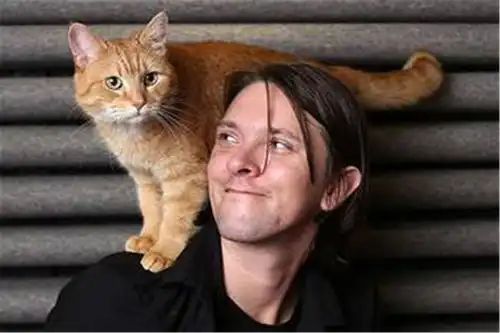 流浪猫鲍勃电影在这个寒冷的冬天里,很能温暖一个人