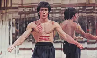 揭李小龙传奇人生曾暴打成龙阿里也拜师
