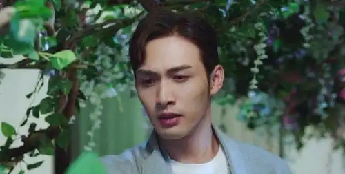 司藤秦放其实是树,海报和剧情有暗示,景甜直播中曾说漏嘴
