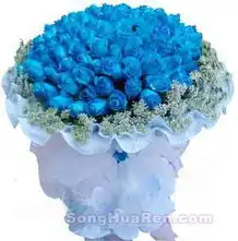 99朵蓝色妖姬爱定你
