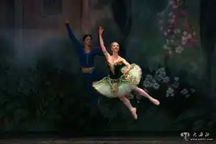 乌克兰传世经典芭蕾舞剧舞姬在兰州激情上演