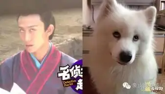 重耳传王龙华张含韵张一山一言不合就卖萌