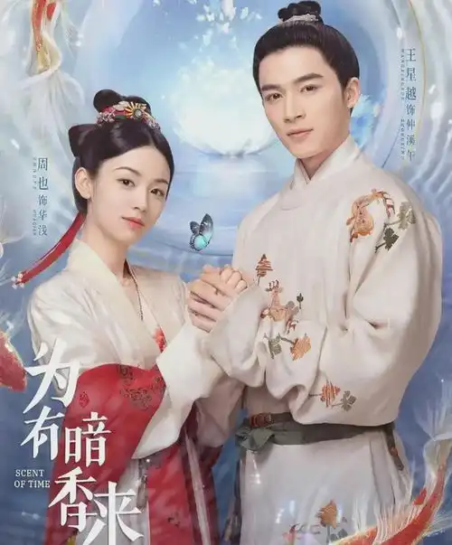 为有暗香来中的出色表现
