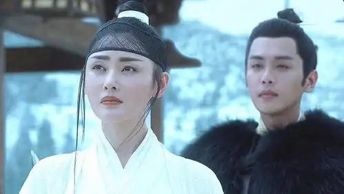 雪中悍刀行南宫仆射为何想成天下第一其父太狠,夺其母气运