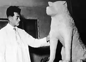 日本东京jr涉谷车站地标忠犬八公铜像制作人安藤士肺炎病逝享年95岁