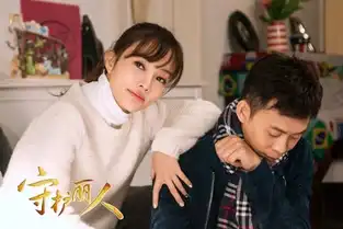 守护丽人收视领跑朱少杰倾力执导诠释铁汉柔情
