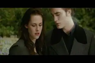 求暮光之城2010qq皮肤或者图
