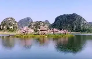 春满芳华,老友行打卡三生三世芳华取景地,穿越百年铁路,赏元阳梯田
