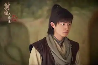 杨旭文射雕英雄传挑战天下第一大侠
