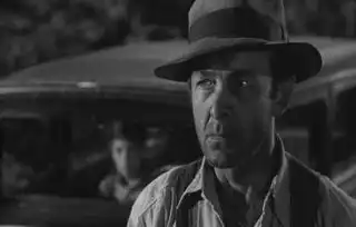 杀死一只知更鸟