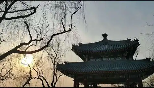 五觉全美第八届考古之美摄影大赛照片投票评选上