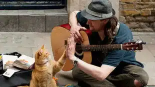 流浪猫鲍勃正式预告有没有人仍温柔待你柚子木字幕组