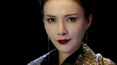 大幻术师水渡天师被乱枪打中受伤,气急之下召唤白虎
