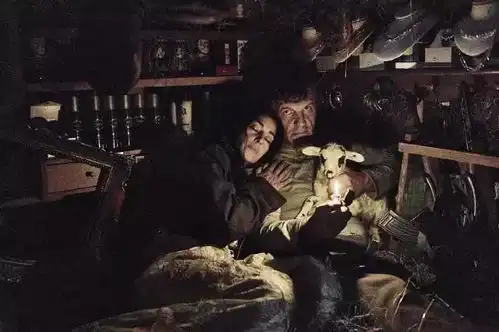 肥内库斯图里卡的文笔能打几分
