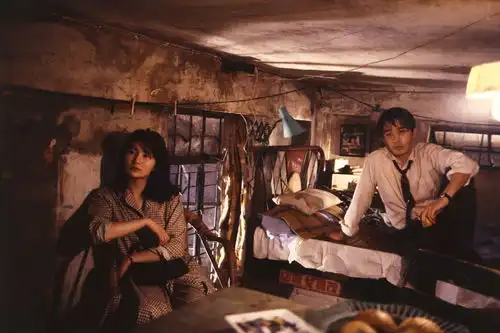 daysofbeingwild阿飞正传