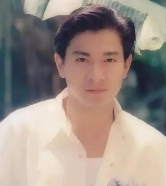 刘德华问鼎天王路三