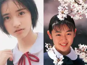 情书翻拍中国版,小柏原崇是吴磊还是陈飞宇