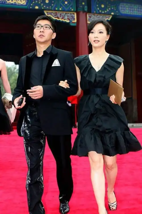 气质女神陈数两段不同的婚姻路