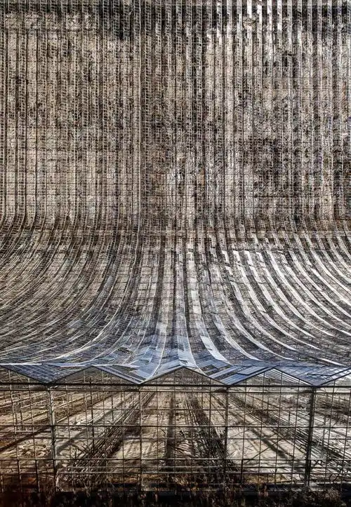 他的照片为你展现2d到3d的神奇演变
