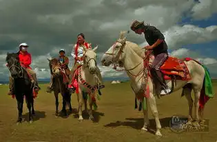 阿呆阿瓜摄影作品草原的儿女
