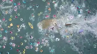 惊人的尺寸李冰冰与英国郭达新电影巨齿鲨剧照曝光
