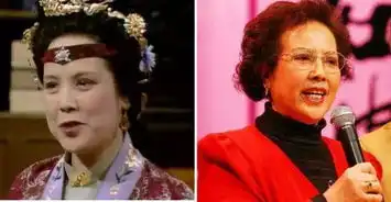 古筝二胡和钢琴演绎红楼梦组曲,丝弦声声入心
