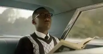 绿皮书剧照影片