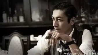 李易峰和陈学冬的出现,是中国谍战剧的噩梦