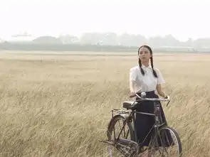我的收藏夹
