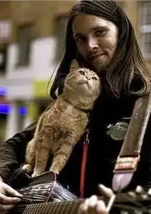 等了两年终于来了11月档最高口碑电影就是这部流浪猫鲍勃