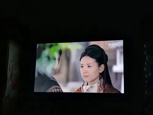 有木有看过董洁潘粤明的萍踪侠影