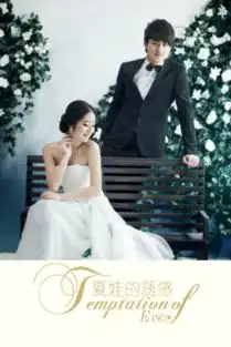 夏娃的诱惑时尚婚纱爱情模板8x12双面水晶印刷照片书22p