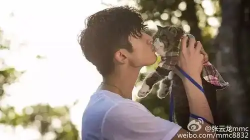 除大张伟外,就爱看张云龙和粉丝互爱互怼抱抱猫狗都不抱你
