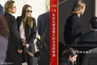 皮特朱莉10年修正果法国完婚手机新浪网
