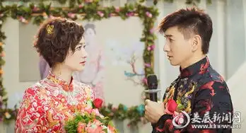 月嫂先生收视走高李小冉做真正的演员